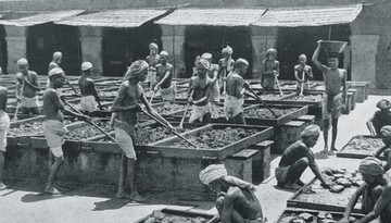 Indie. Do cna wyzyskana perła