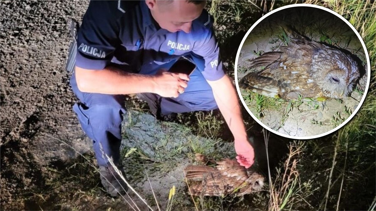 Leżała półprzytomna na drodze. Postawa świadka i policjantów przywraca wiarę w ludzi