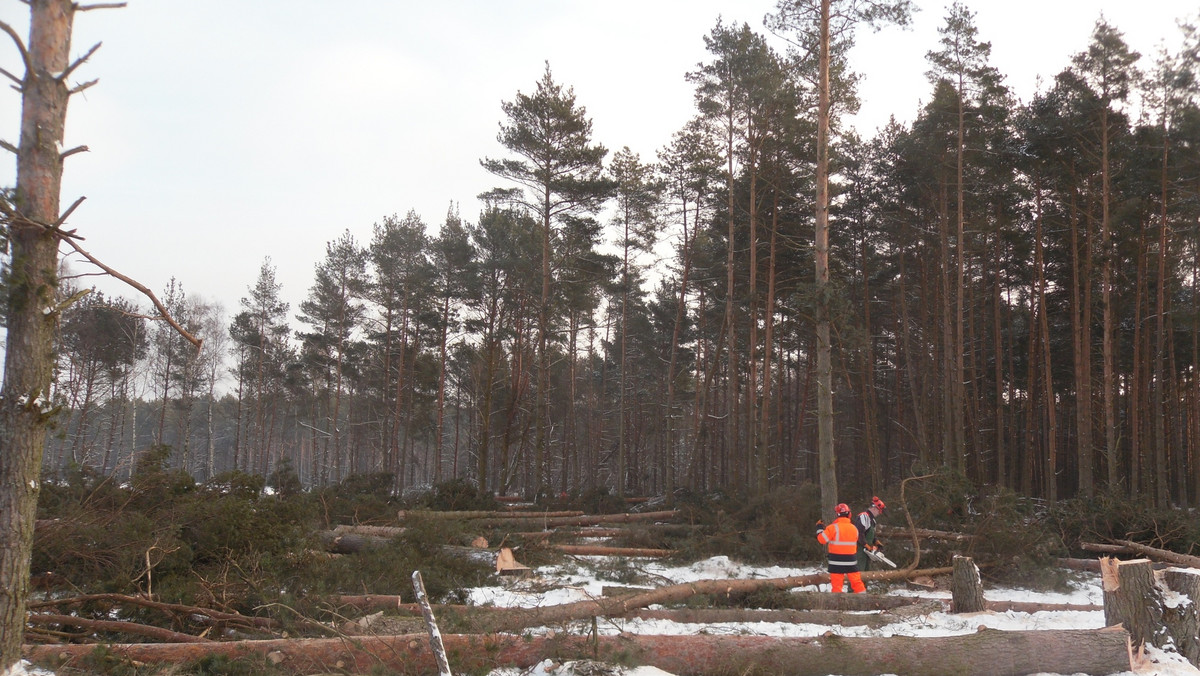 Rozpoczęły się pierwsze prace przy budowie drogi ekspresowej S6, która ma połączyć Szczecin i Trójmiasto. W tej chwili trwa wycinka drzew oraz prace saperskie i geodezyjne. Wiosną mają się rozpocząć już właściwe prace budowlane.