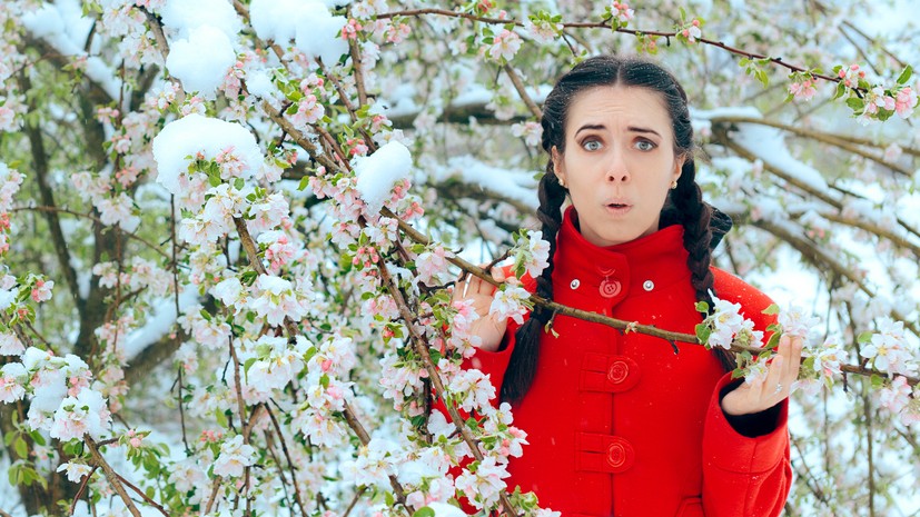 Namiesto jarného slnka hrozia mrazy. (Ilustračné foto)