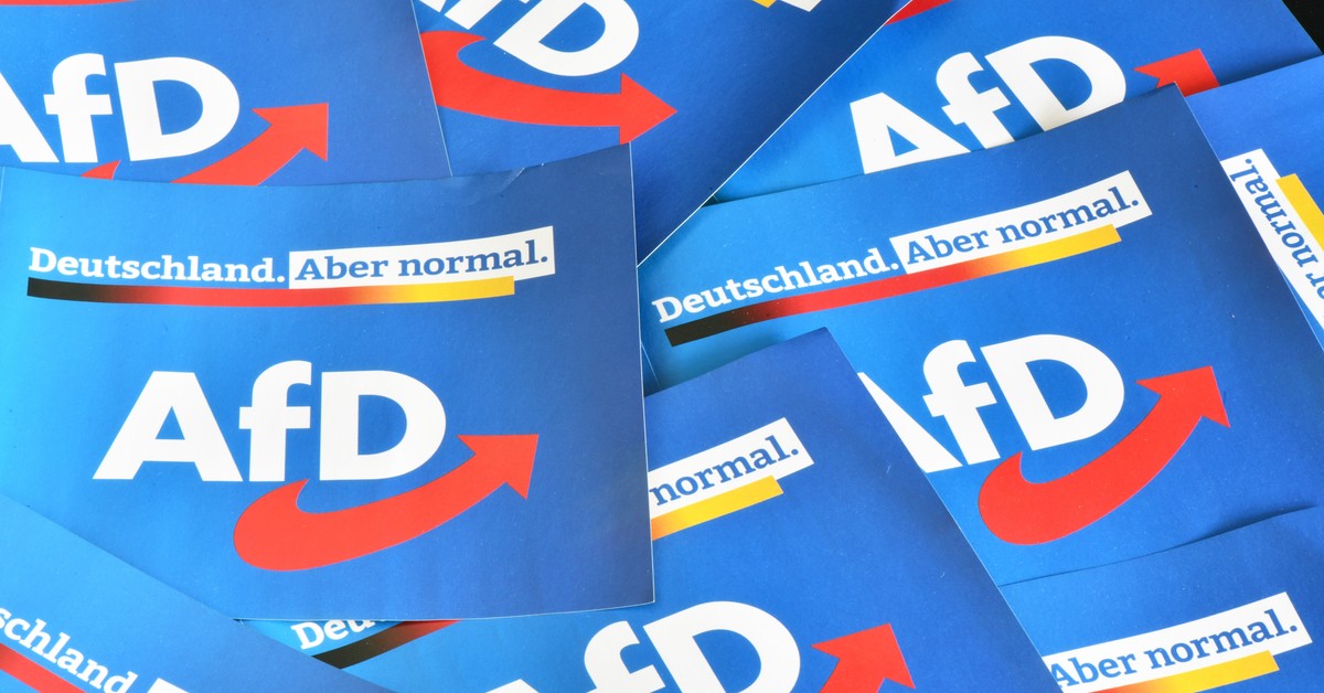 Буря в Берлине. Некоторые политики AfD критикуют главу партии за слова о Польше