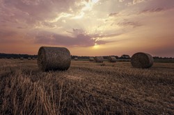 Naukowcy ostrzegają: Zmiany klimatu zagrażają 1/3 produkcji rolniczej na całym świecie