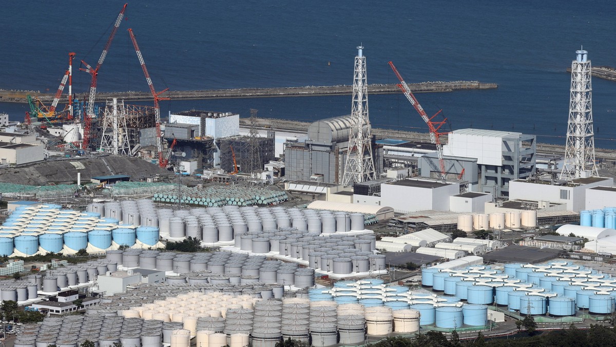 Trzęsienie ziemi w Japonii. Specjalne środki ostrożności w elektrowni jądrowej