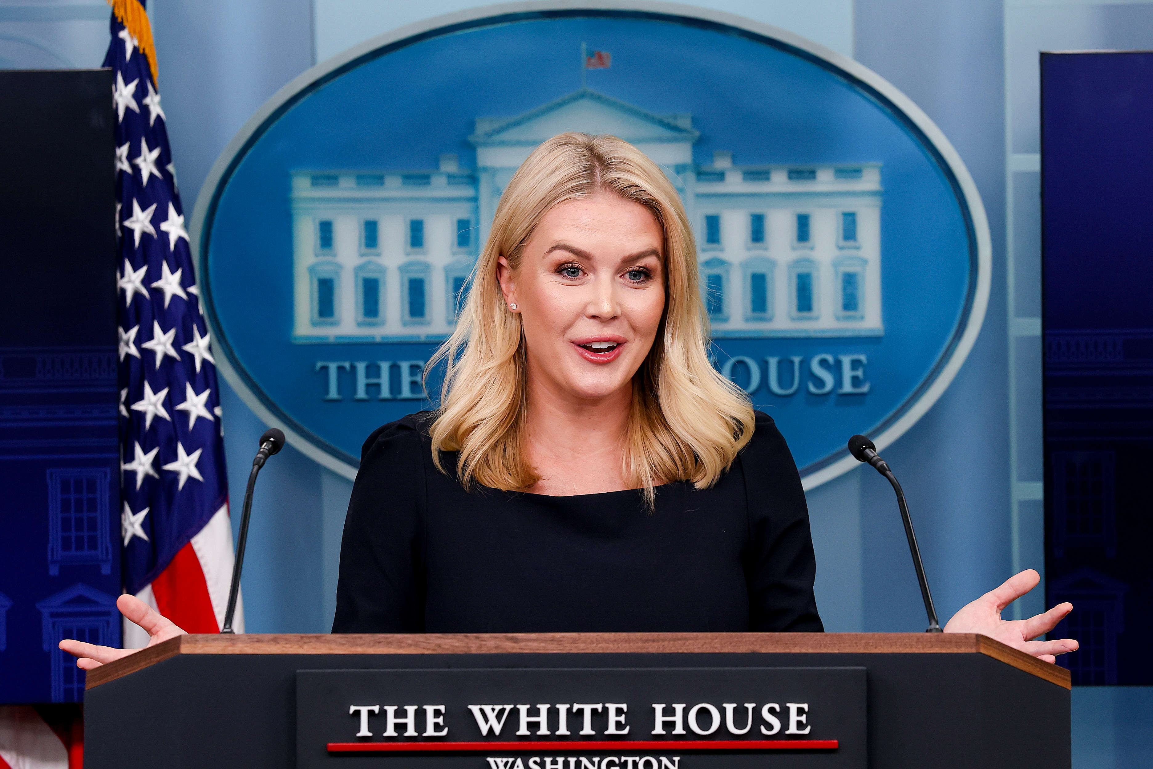 Trumps Ukraine-Plan: NATO-Verzicht und territoriale Verluste