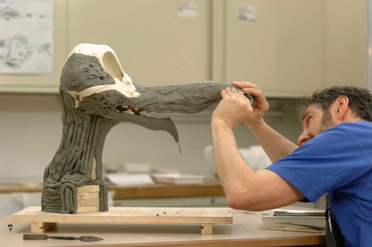 Praca nad odtworzeniem szkieletów bohaterów kreskówek trwała wiele miesięcy