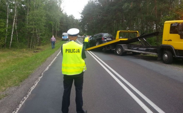 Lubisz koty? O takim wypadku policja jeszcze nie informowała [ZDJĘCIA]