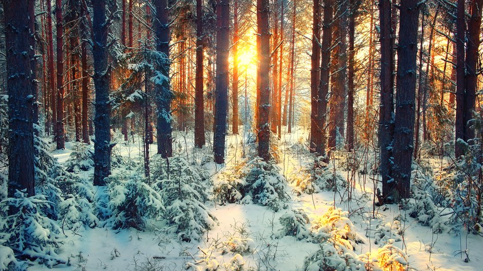 Pogoda na święta Bożego Narodzenia. Prognoza pogody na święta