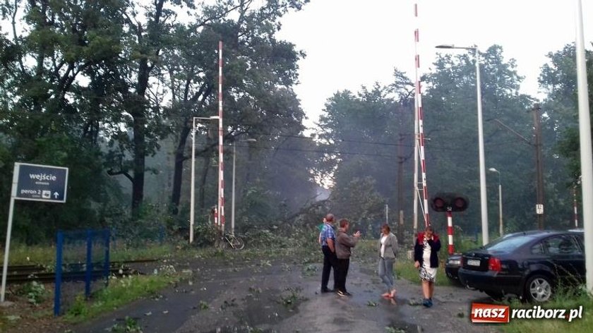 Nawałnice nad Polską. Zerwane dachy z 117 domów