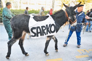 Rewolucja w dopłatach: polski rolnik dostanie tyle samo co zachodni farmerzy