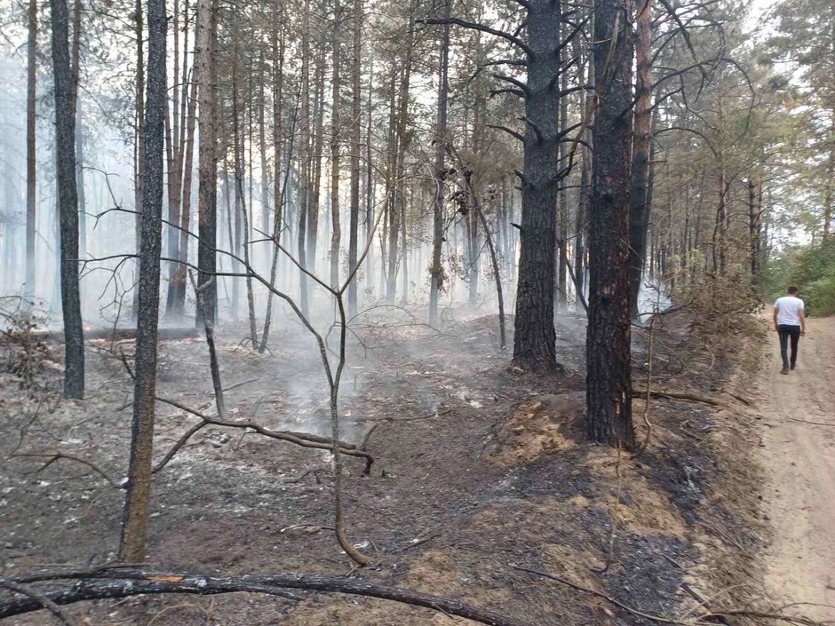 Požar u Deliblatskoj peščari