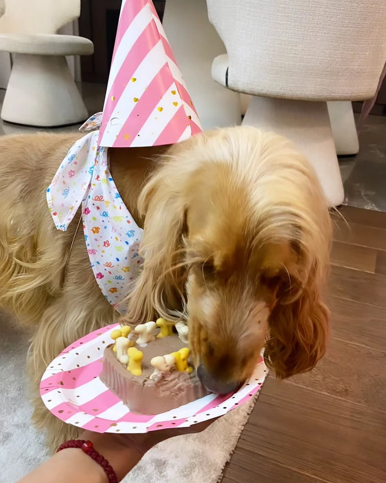 Jelena Bačić Alimpić