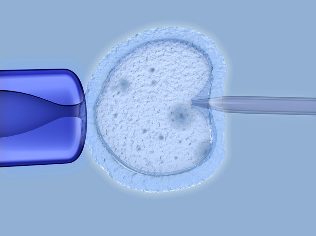 Podwójny błąd w sprawie in vitro? Jest kolejna ofiara pomyłki lekarzy