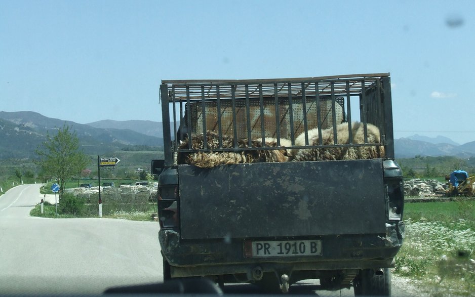 Albania