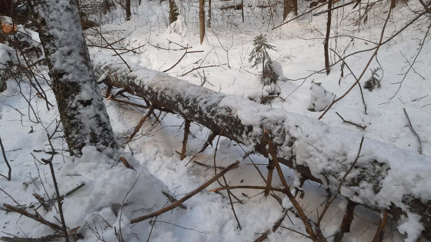 V doline Tiesňavy pri Stratenej sa zosunul svah i s turistickým chodníkom.