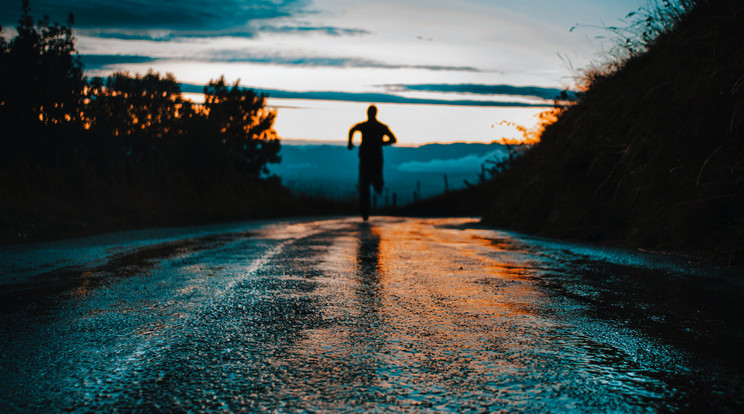 A férfi a kocogók legnagyobb megdöbbenésére anyaszült meztelenül futott a Margitszigeten /Illusztráció: Unsplash