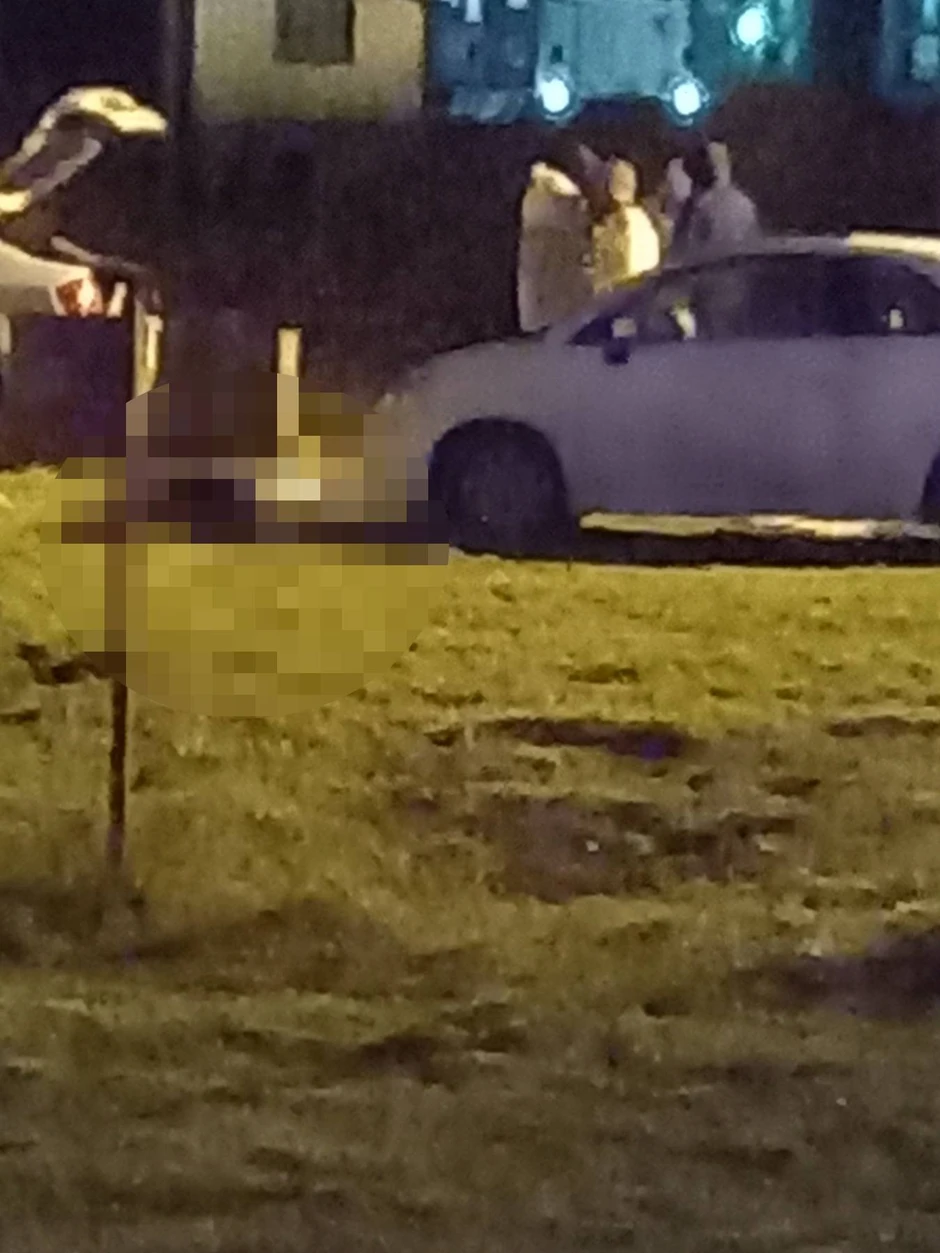 Novi Sad ubistvo Veternik