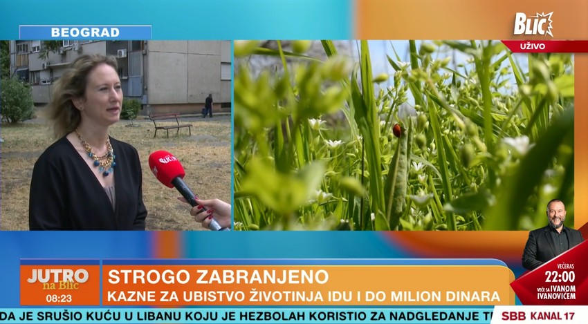 Ivona Tanasijević Stošić.