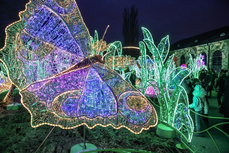 V Królewski Festiwal Światła w Wilanowie