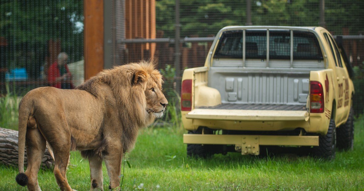 Wrocławskie zoo inwestuje w modernizację i rozwój infrastruktury!
