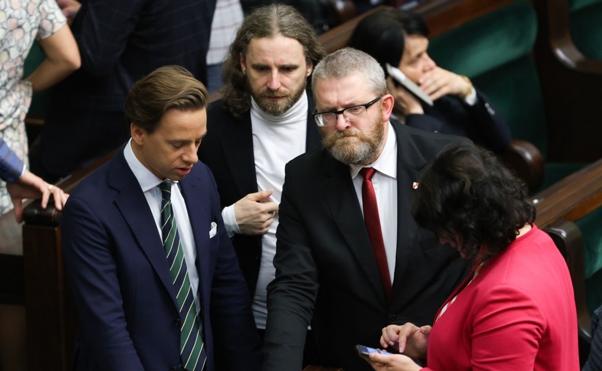 Krzysztof Bosak, Dobromir Sośnierz, Grzegorz Braun