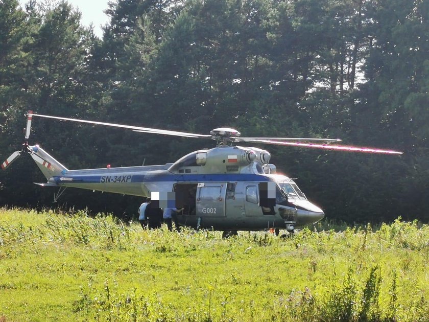 Policjanci i antyterroryści szukają pumy w lasach Ogrodzieńca!