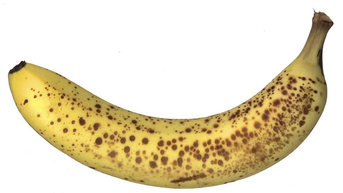 Odstraszają was brązowe plamki na dojrzałych bananach? To błąd. Naukowcy informują, że im więcej plam na owocu, tym lepiej wpływa on na ludzki organizm. Wzmacnia odporność i chroni przed nowotworami.
