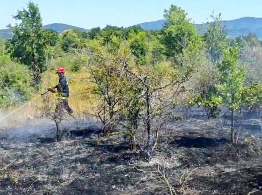 Gašenje požara u selu Borovac
