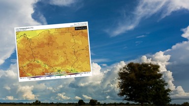 Prognoza pogody na piątek. Temperatura zacznie rosnąć