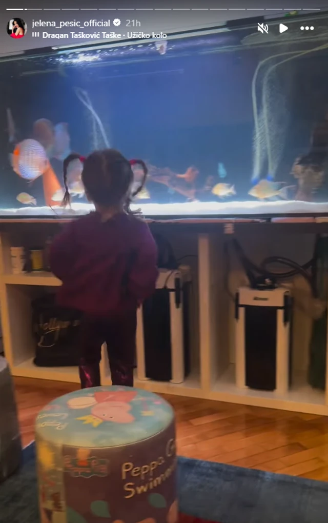 Preko celog zida dnevne sobe dva gigantska akvarijuma i ogroman televizor: Zavirite u dom Jelene Pešić i Mladena Vuletića!