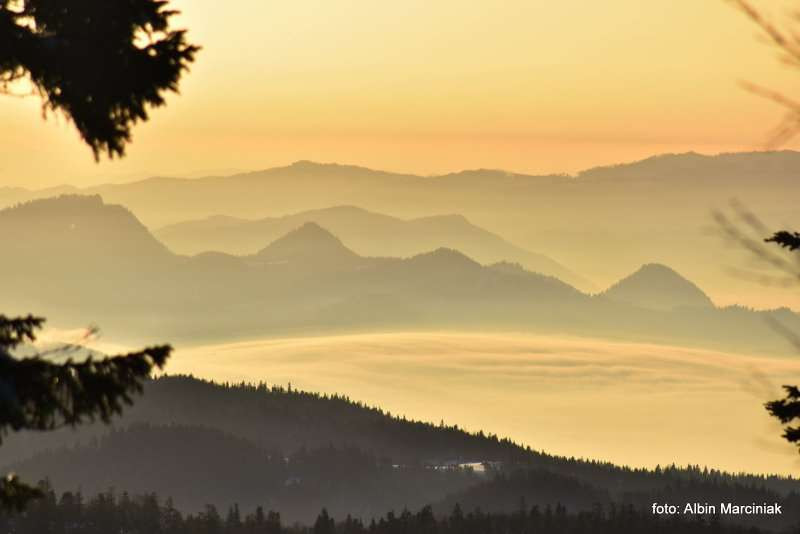 Szlak na Turbacz (1310 m n.p.m.) — najwyższy szczyt Gorców