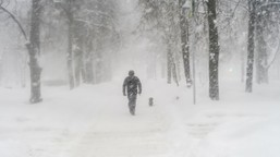 amerykanie ujawnili prognozę dla polski. nadejdzie kataklizm? wskazano