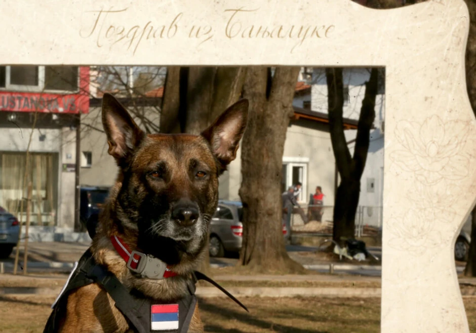 gorska služba spasavanja banjaluka tragač Tora