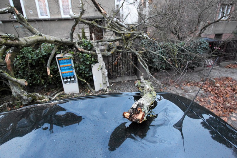 Orkan Ksawery uziemia samoloty w Warszawie, Gdańsku i Wrocławiu. Z powodu złej i szybko zmieniającej się pogody - bardzo silnego wiatru oraz opadów śniegu występujących nad Europą i Polską, część rejsów LOT-u zostało anulowanych.
