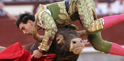 Byk wbił mu róg w szyję! Uwaga, mocne zdjęcia