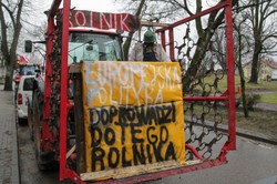 Polscy rolnicy wysypali zboże z ukraińskich ciężarówek. Ambasador Zwarycz: Haniebne przestępstwo