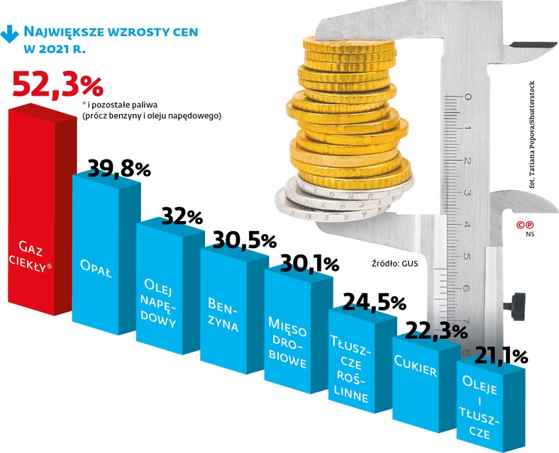 Największe wzrosty cen w 2021 r.