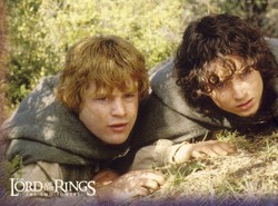 Nowy Rok w TV. Najciekawsze propozycje programowe