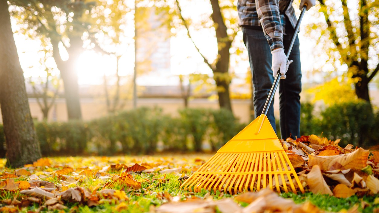 Akú škodu spôsobuje ponechanie opadaného lístia na trávniku?