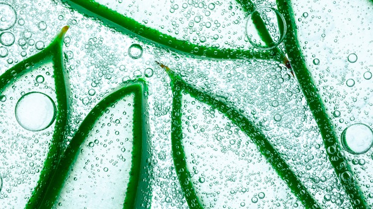 aloe vera gyógynövény vastagbélrák