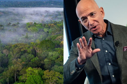 Amazonia kontra Amazon. Czy Bezos zapłaci za nazwę?