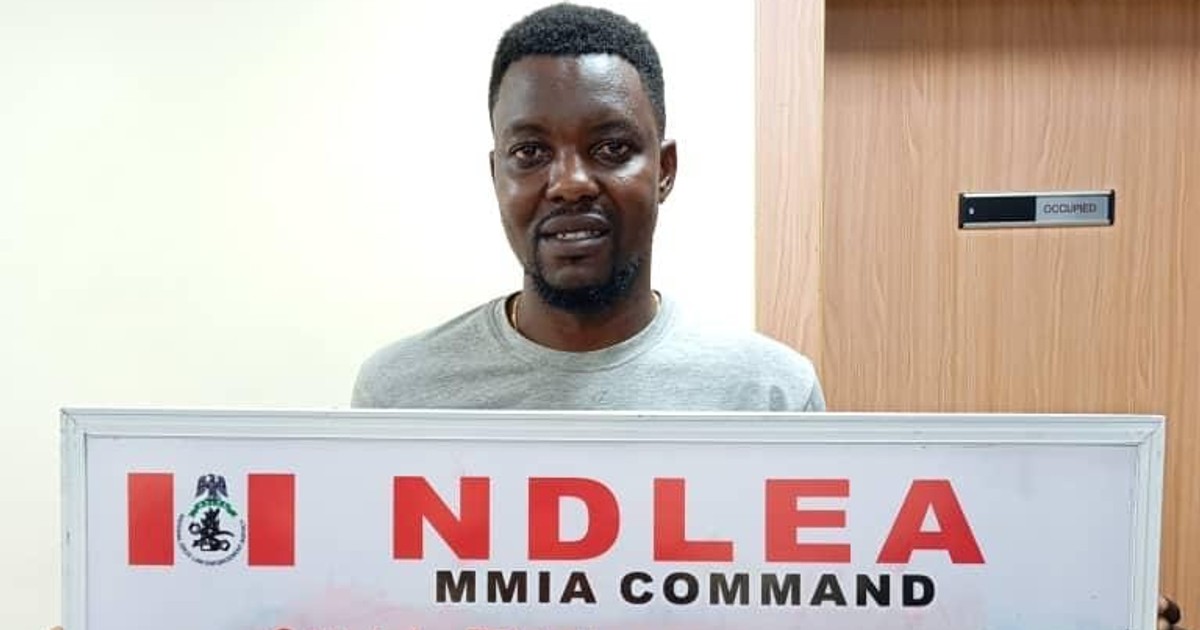 NDLEA seizes Italy-bound hard drugs and Canadian Loud in Lagos - Vimarsana News