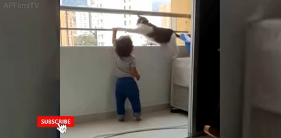 Dziecko chciało wspiąć się na barierkę balkonu. Zobaczcie, co zrobił ten kot!