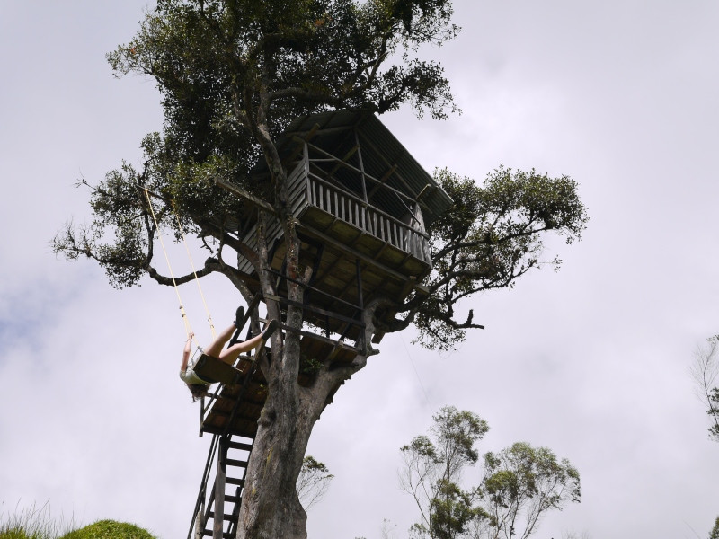 Casa Del Arbol w Banos: niezwykła huśtawka "na końcu świata"