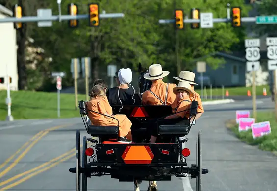 "Amish Uber" to prawdopodobnie najwolniejsza taksówka na świecie