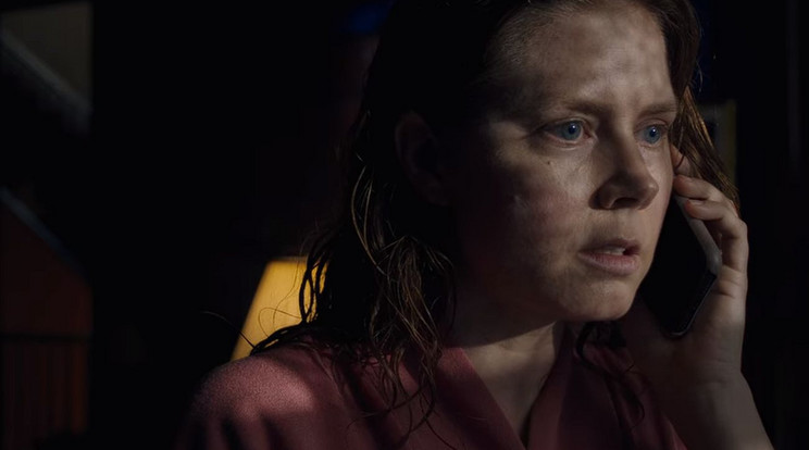 A Nő az ablakban egy agorafóbiás pszichológusról, Anna Foxról (Amy Adams) szól, aki gyilkosságot lát a szomszédjában / Fotó: Netflix