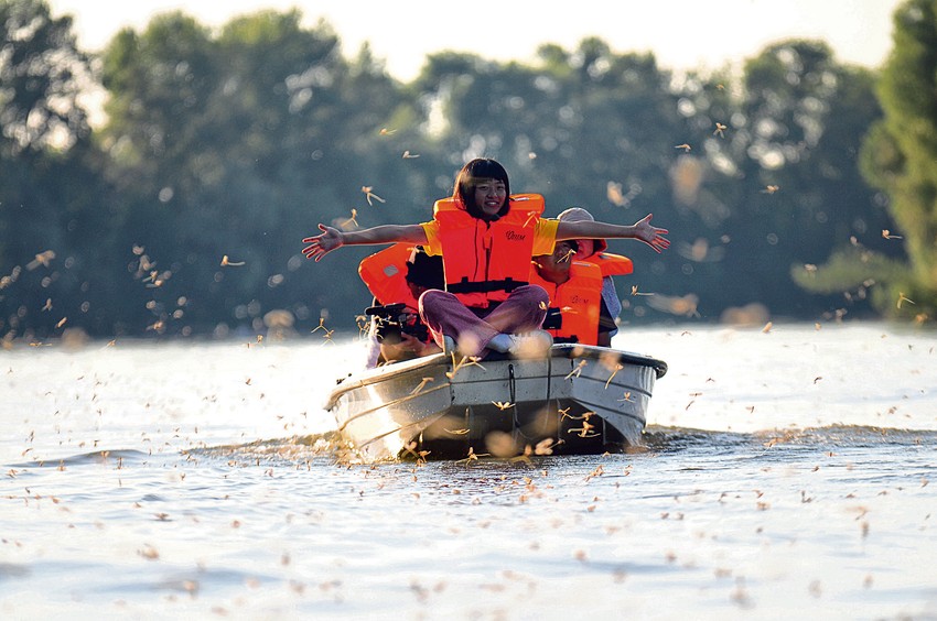 Grupa turista iz Japana danima je čekala da Tisa procveta
