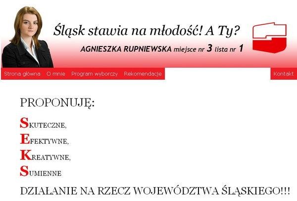 wybory samorządowe polityka