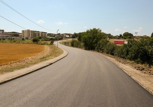 Ruma sređen put