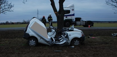 Zawinął się na drzewie. Kierowca ciężko ranny