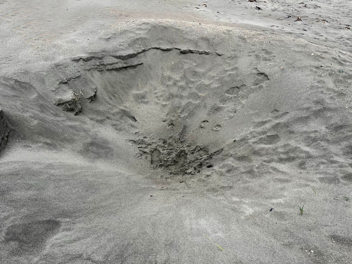 Detail lávového poľa sopky Kīlauea na Havaji s charakteristickými štruktúrami stuhnutej lávy. Vedci nedávno zaznamenali pod touto aktívnou sopkou presun magmy, približne 130 zemetrasení a vznik nových prasklín v zemskom povrchu. (Ilustračný obrázok)